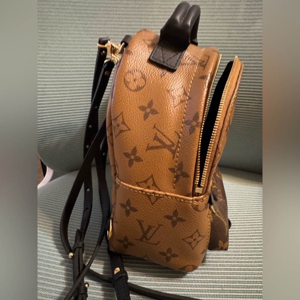 Louis Vuitton Reverse Monogram Palm Springs Mini Backpack - Picture 6 of 7